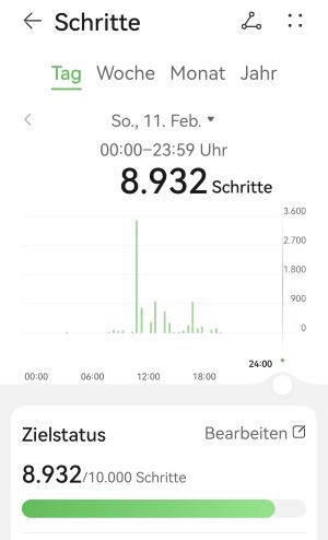 Schritte heute.jpg