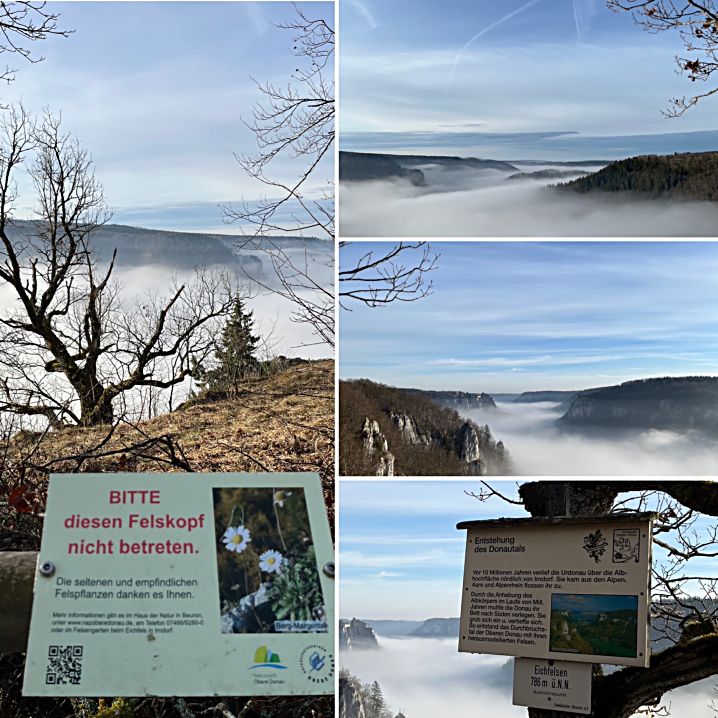 15.02.2024. `DonauWelle EichFelsen PanOrama´jpg.jpg