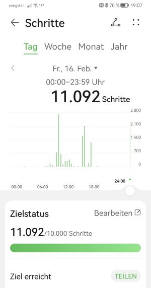 Gesamtschritte.jpg
