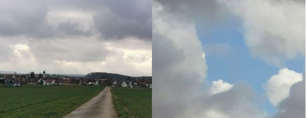 Impressionen vom Morgenspaziergang.jpg