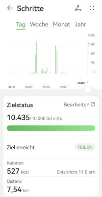 Schritte heute.jpg