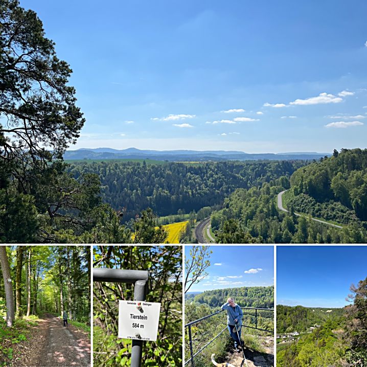 Am Tierstein bei Dietingen.jpg