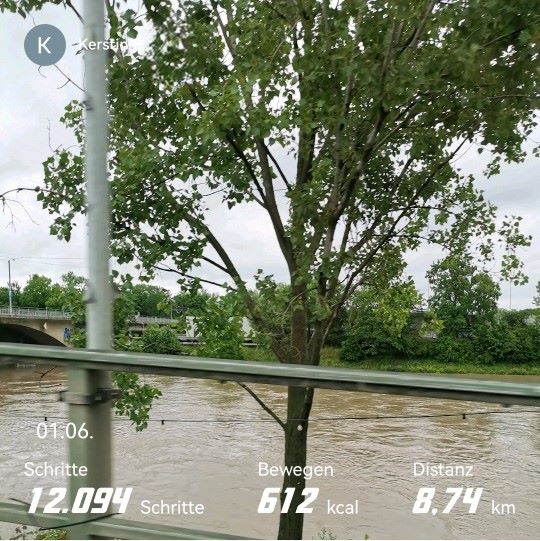 Gesamtschritte gestern.jpg