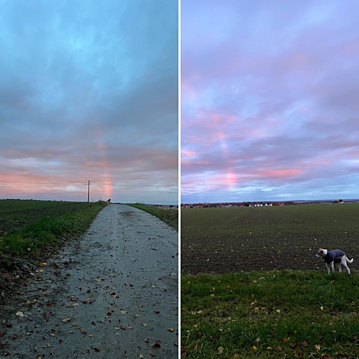 23. Oktober 2025.jpg