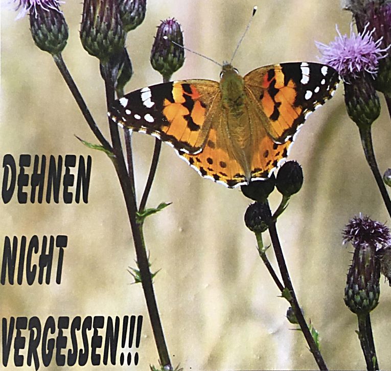 Erinnerungs-Butterflyer-Post.jpg